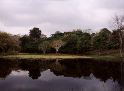 Lake at Tikal National Park, El Peten, Guatemala
