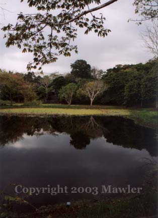 Lake at Tikal National Park, El Peten, Guatemala