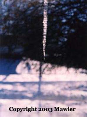 Icecicle, Adelphi, Maryland, USA