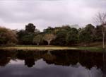 Pond at Tikal National Park, El Peten, Guatemala