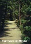 Algonquin Provincial Park, Ontario, Canada